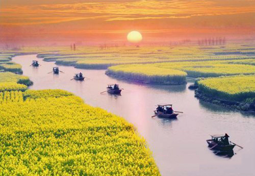 如何拍攝油菜花？達(dá)人教你7個(gè)拍攝技巧