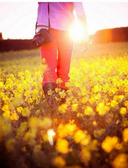 如何拍攝油菜花？達(dá)人教你7個(gè)拍攝技巧