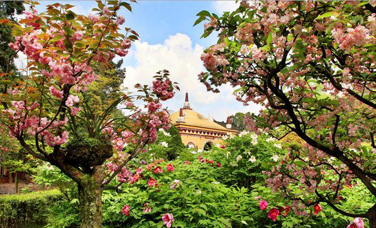 麻辣冬日二三五，芳菲三月看峨眉