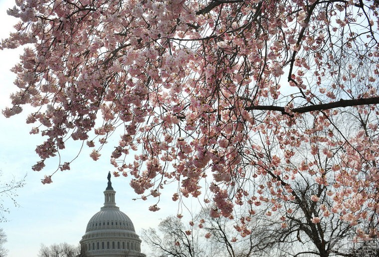 出行去哪兒不用愁 細(xì)數(shù)全球春季實惠旅行地