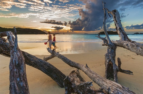 出行去哪兒不用愁 細(xì)數(shù)全球春季實惠旅行地