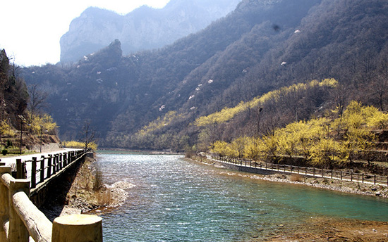 有一種呼喚，叫春天里的蟒河！