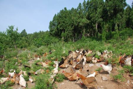 旅游真奇妙 這些事你知道嗎？