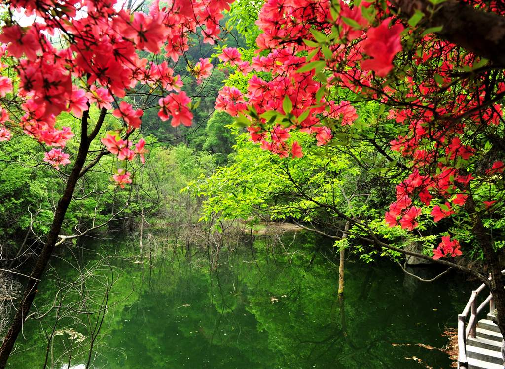 母親節(jié)河南景區(qū)優(yōu)惠大波來襲！