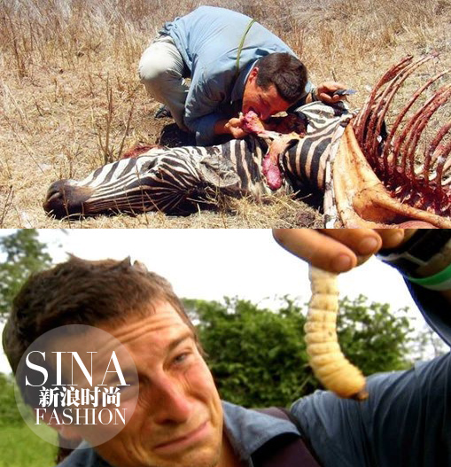 大型動(dòng)物和肉蟲子……也都能生吞活剝！