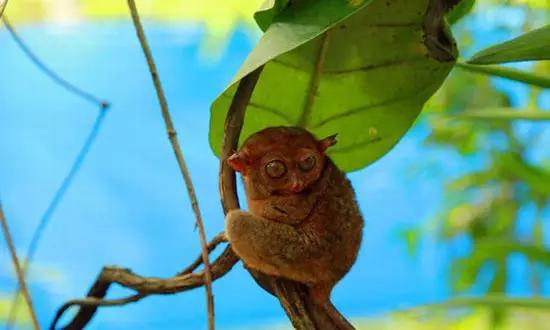 適合在冬天旅游的十個(gè)絕美海島！