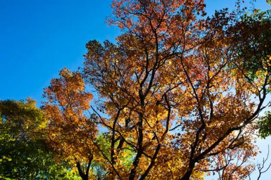 秋天，美好的季節(jié)