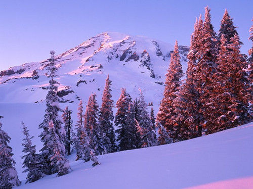 華盛頓，雷尼爾山