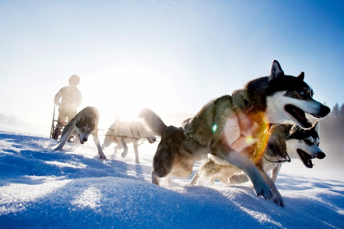 冬季貝加爾,適合享受冰上運動,狗拉雪橇、雪上摩托車、雪地徒步等都是不錯的選擇 F5.6,1/115秒