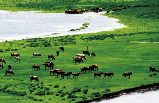 　　處處翠色欲流,馬兒自然入畫?！? complete=