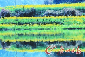 　　江嶺梯田落差不大,但有花有水。