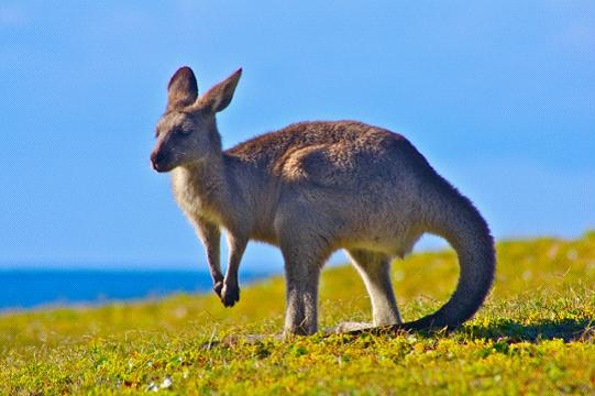 全家出國游去哪里？推薦十佳旅游勝地