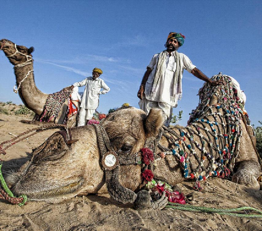 全家出國游去哪里？推薦十佳旅游勝地