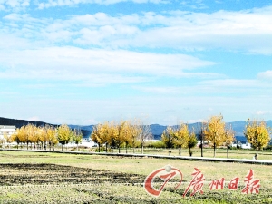 　　大理洱海湖畔美麗的鄉(xiāng)村景色。