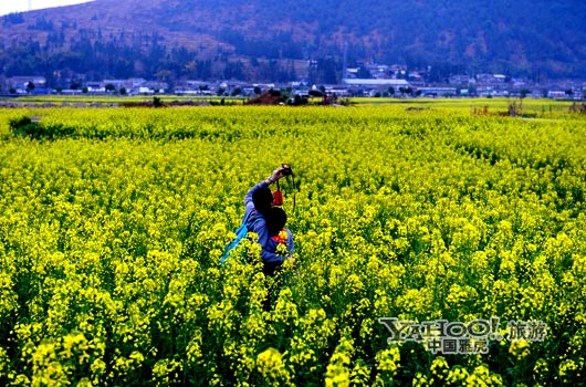 　　不論從人文氣息還是田園自然風光,都值得我們?？俊?圖片來源:CFP)