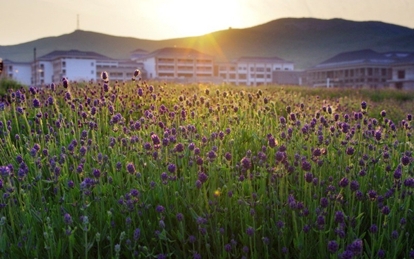 別樣蜜月，河南最適宜新婚度假的景區(qū)