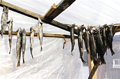 長白山腳下一家小餐館內(nèi)晾曬的冷水魚。