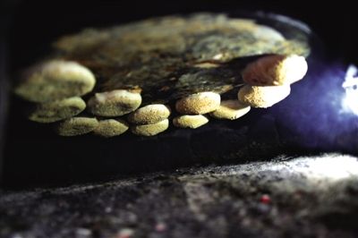 吊爐燒餅是黃驊最典型的面食之一，這種手藝在一些老院子里已經(jīng)傳承了上百年時間。