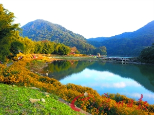 初冬的石門森林公園色彩絢爛。