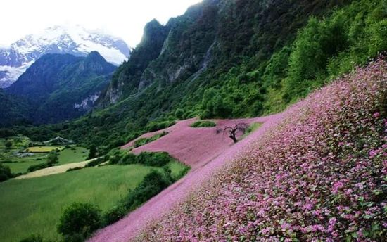 云南的另一個(gè)天堂 我約你一起去！