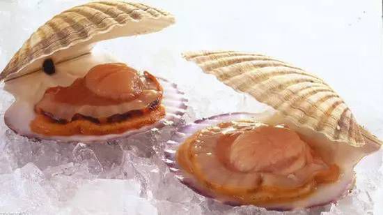 秋季最適合吃的海鮮是這10種 你吃對(duì)了嗎？