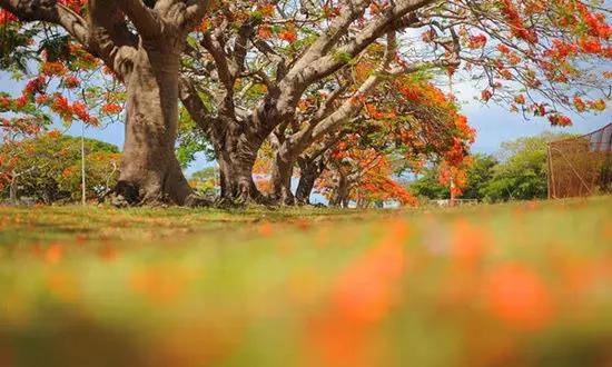 適合在冬天旅游的十個(gè)絕美海島！