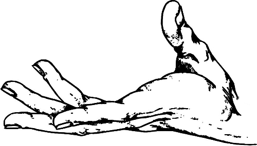 　時(shí)間：拿到通知書，未報(bào)到就可申請(qǐng)