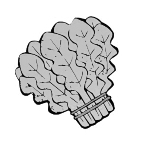 雪后菜價(jià)瘋漲15倍？沒恁夸張 元旦豬肉雞蛋或漲價(jià)