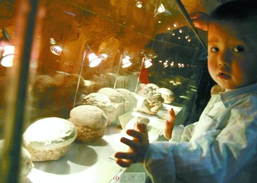 恐龍蛋，這回見識了吧！