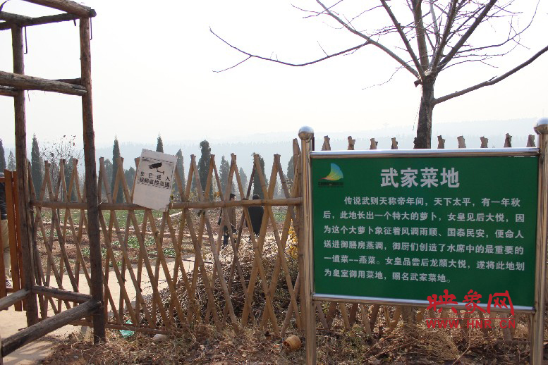 武家菜地就是這，據(jù)說里面有個(gè)特大的蘿卜