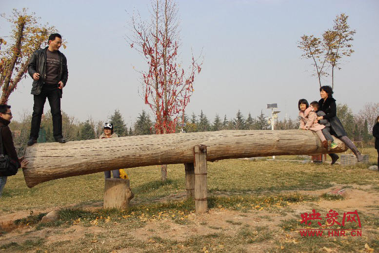 巨大的蹺蹺板，一棵樹。。。看玩的多嗨