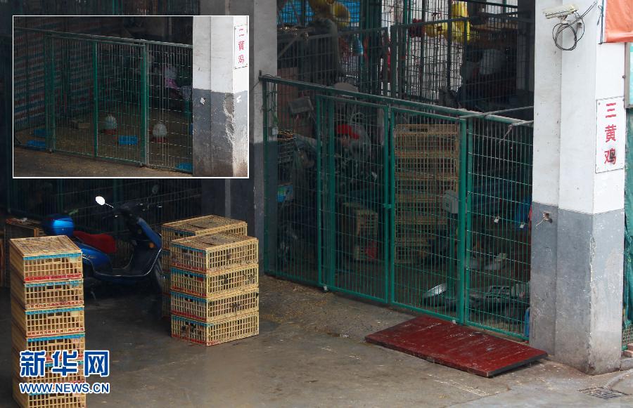 上海6日起暫?；钋萁灰?關(guān)閉所有活禽交易市場(chǎng)
