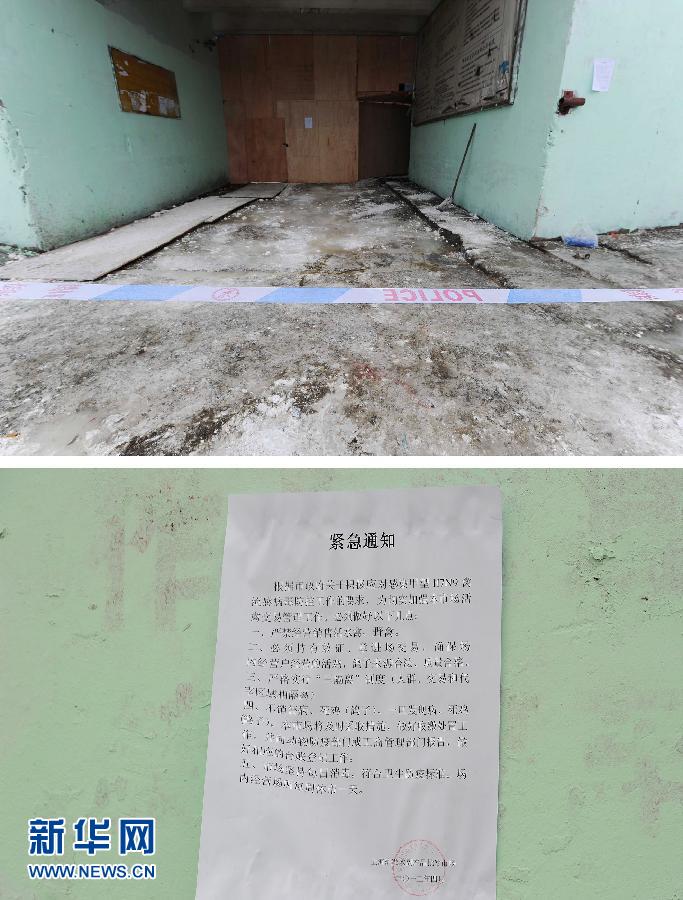 上海6日起暫?；钋萁灰?關(guān)閉所有活禽交易市場(chǎng)