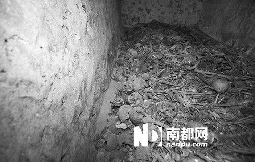 　5月29日，在以色列特拉維夫市雅法地區(qū)，一處集體墳?zāi)贡话l(fā)現(xiàn)。