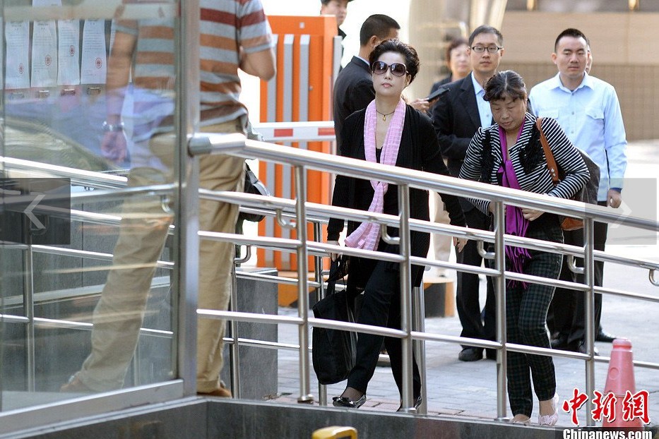 夢鴿現(xiàn)身海淀法院。中新網(wǎng)記者 金碩 攝