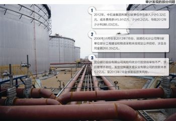 　審計發(fā)現的部分問題