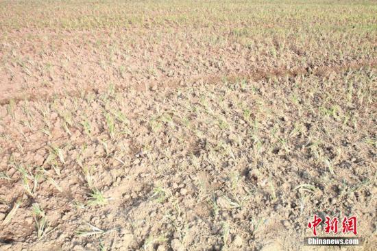 2014年7月31日早晨，浙江紹興市區(qū)蔬菜批發(fā)市場旁邊的土地已經(jīng)發(fā)生開裂。