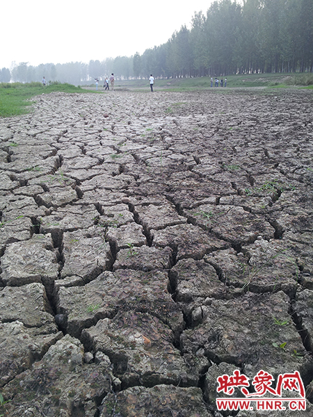 澎河匯入白龜山水庫(kù)處，河床已經(jīng)全部干裂，等待丹江水的到來(lái)。