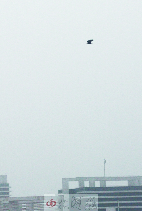 全省35個(gè)縣市發(fā)布惡劣天氣預(yù)警信號(hào)，其中15個(gè)發(fā)布大霧紅色預(yù)警