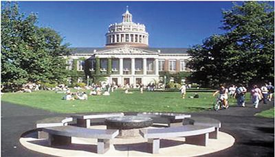 紐約大學(xué)阿布扎比分校。資料圖片