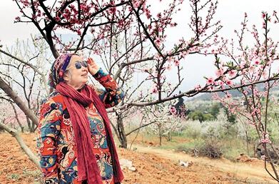 公式“時尚奶奶”的賞花照，收獲了好多人的點贊。 受訪者供圖