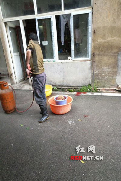 5月8日，男子在校園里殺狗，地上殘留一塊血跡。目擊者供圖。