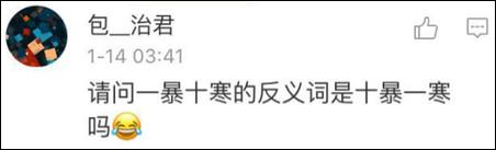 鶴立雞群？雞立鶴群！