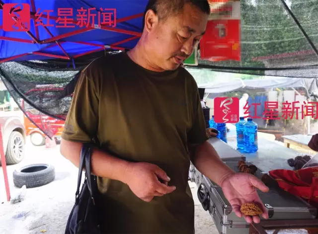 文玩核桃遇冷由幾萬一對降到5元沒人要？商戶否認