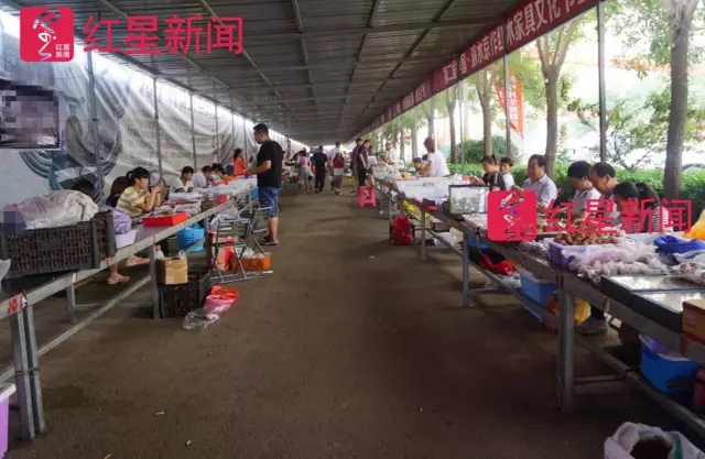 文玩核桃遇冷由幾萬一對降到5元沒人要？商戶否認