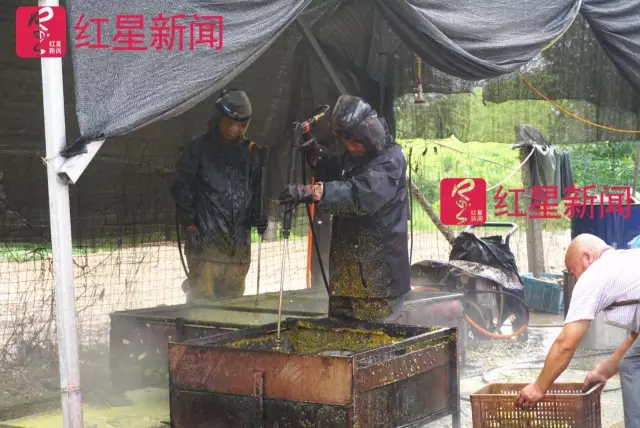 文玩核桃遇冷由幾萬一對降到5元沒人要？商戶否認