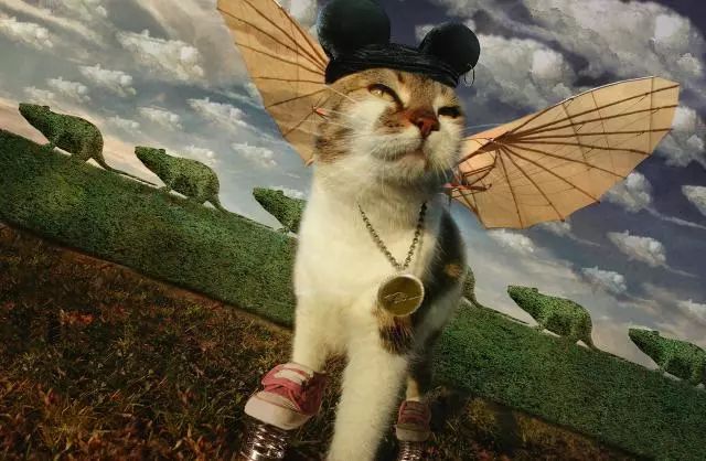 一只虛擬寵物貓叫價13億元？云養(yǎng)貓成真