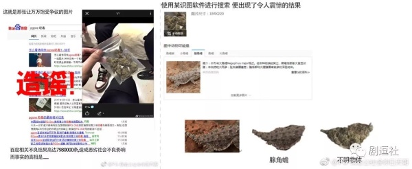 PGone又教給我們一個新詞：虐粉。