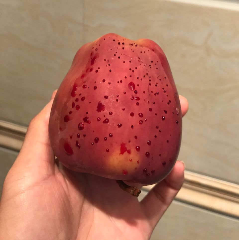 嚇懵！女子用熱水泡蘋果結(jié)果冒出血珠 咋回事？