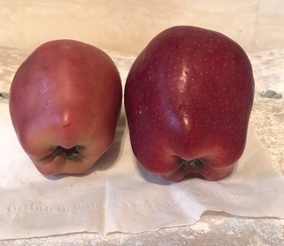 嚇懵！女子用熱水泡蘋果結(jié)果冒出血珠 咋回事？